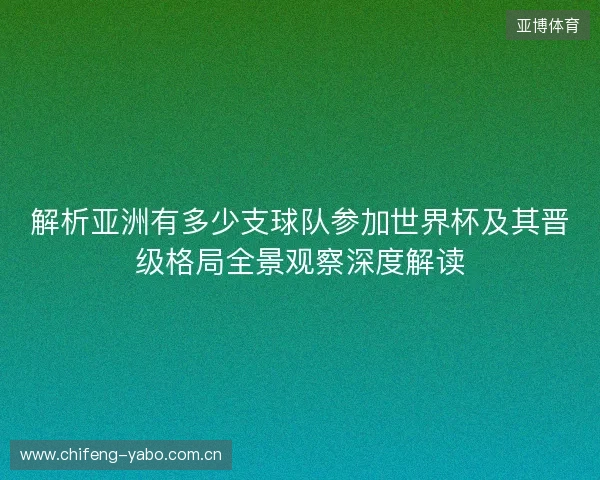 解析亚洲有多少支球队参加世界杯及其晋级格局全景观察深度解读